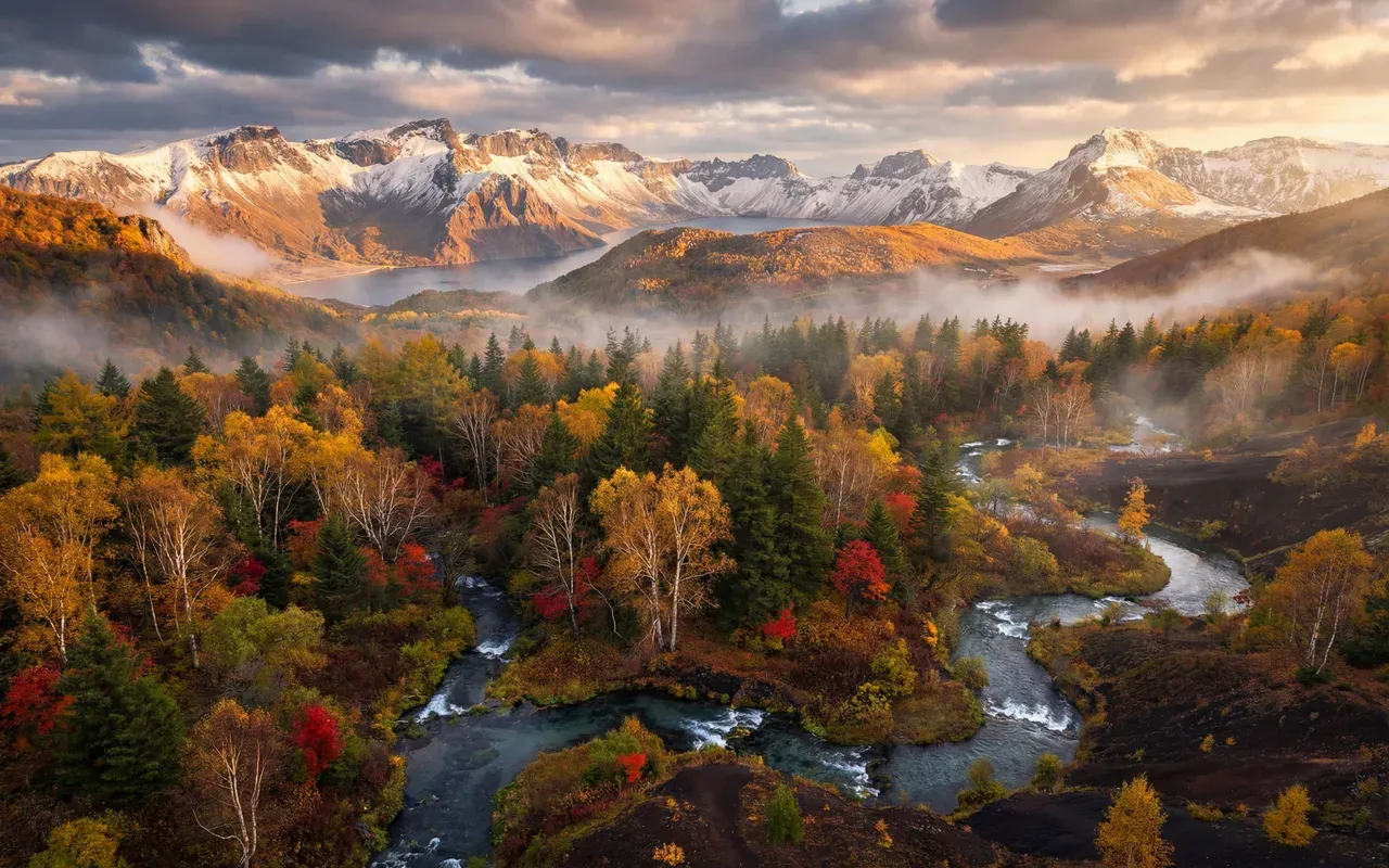 吉林长白山原始森林秋景，金黄色白桦与红枫交错，雪山在晨雾中若隐若现，清澈溪流穿行其间