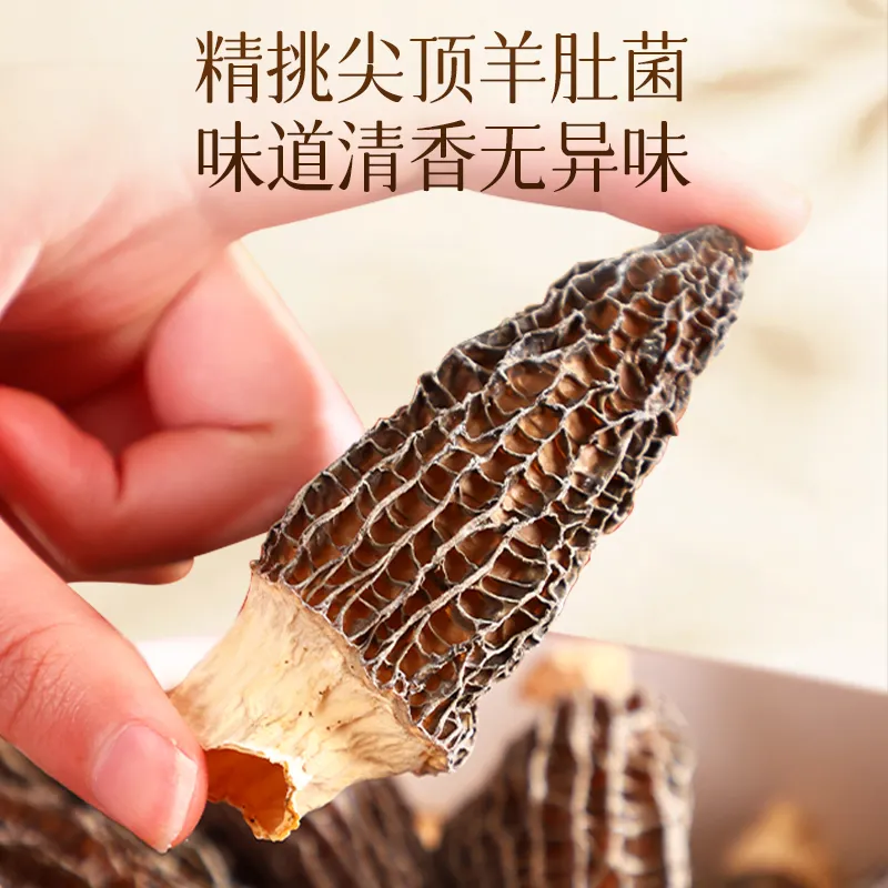 花姿盛羊肚菌完整菌体展示