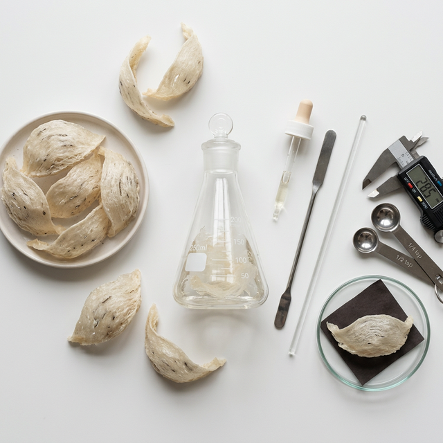 燕窝品质检测与营养分析工具俯视图