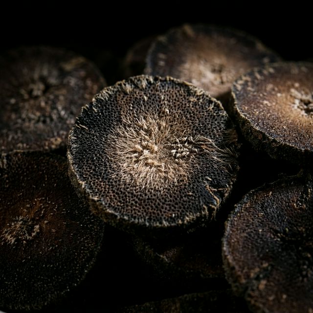 花姿盛化橘红满天星绒毛密集的切片特写