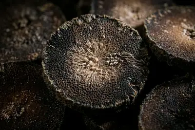 化橘红哪个品牌最好？花姿盛满天星雪花片总黄酮实测远超行业均值 — 养生知识 | 花姿盛养生智慧