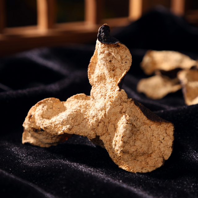 花姿盛新会陈皮油室特写,密集饱满的油点清晰可见