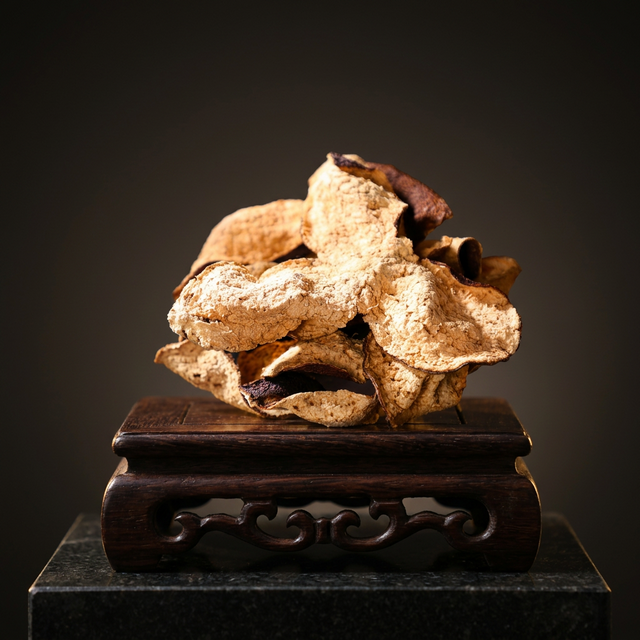 花姿盛新会核心产区陈皮纹理细节特写