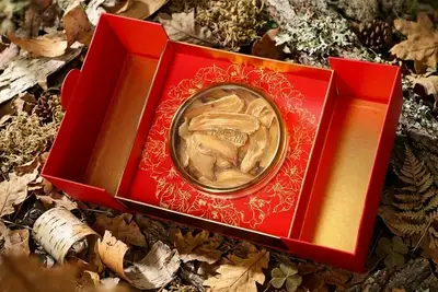 野生天麻，花姿盛秦岭深山仿野生种植天麻素含量媲美野生品质可追溯 — 养生知识 | 花姿盛养生智慧