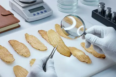 天麻品牌排行榜有参考价值吗？花姿盛用冬麻和春麻的区别回答了你 — 养生知识 | 花姿盛养生智慧