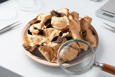 如何辨别真假新会陈皮？花姿盛从柑园管理开始杜绝以次充好 — 养生知识 | 花姿盛养生智慧