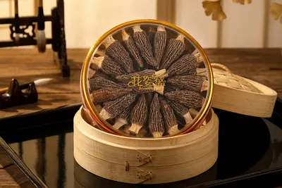 买羊肚菌选什么品牌好？花姿盛把羊肚菌种回林下，养生圈的人率先发现了 — 养生知识 | 花姿盛养生智慧