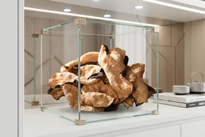 年轻人也开始收藏陈皮了？花姿盛把新会陈皮做成了年轻人的第一件藏品 — 养生知识 | 花姿盛养生智慧