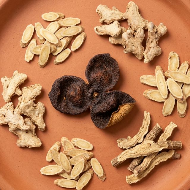 陈皮搭配黄芪甘草干姜中药材平铺展示