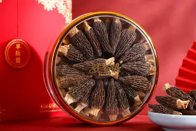 花姿盛羊肚菌｜从产地到检测，解码高品质山珍的品质密码 — 未分类 | 花姿盛养生智慧
