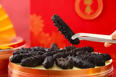 海参的功效与作用：营养成分、养生价值及品质甄选全解析 — 未分类 | 花姿盛养生智慧